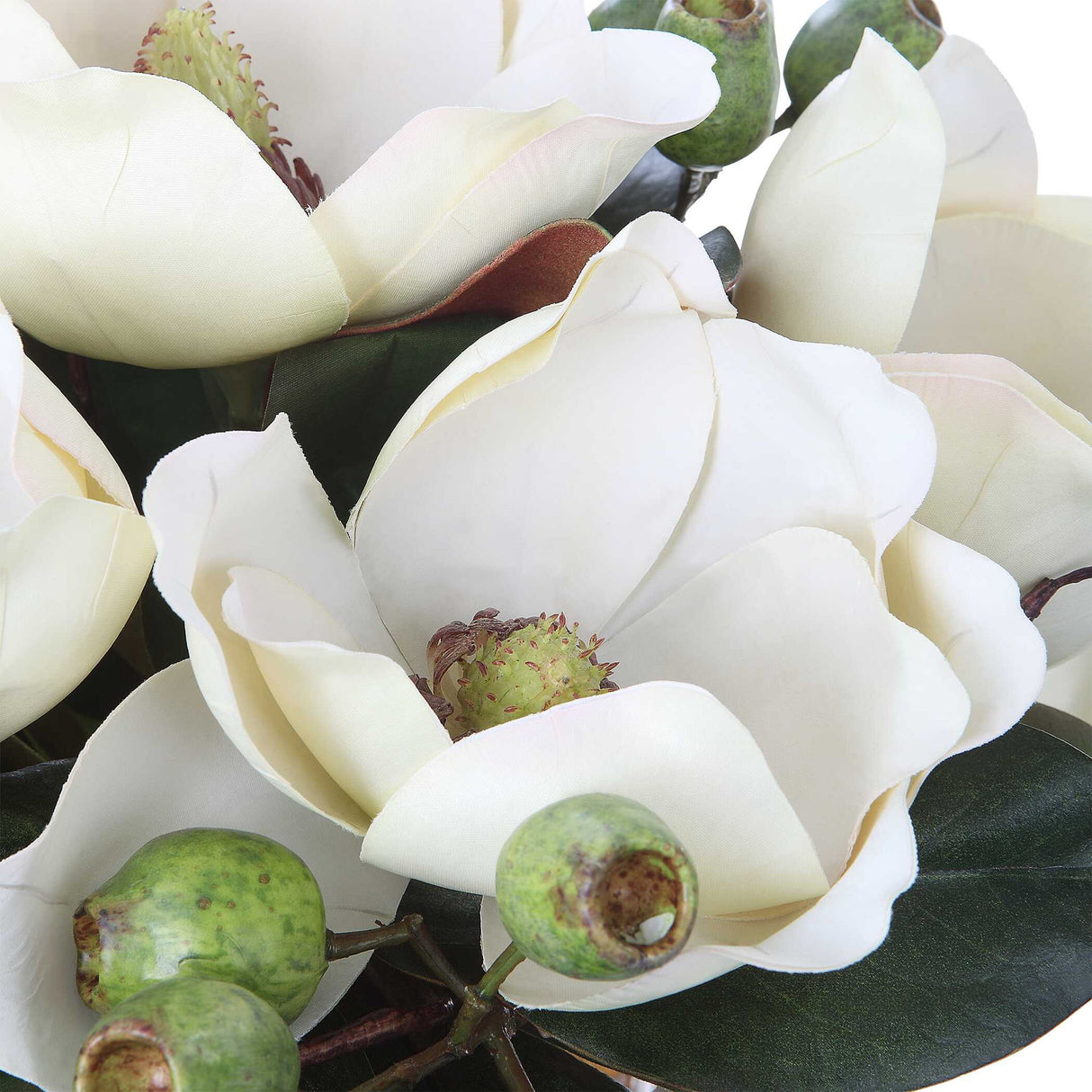 Dobbins Magnolia - Bouquet