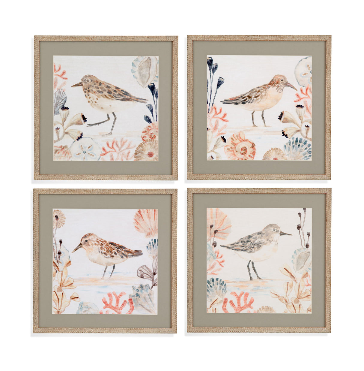 Shell Peppers Framed Print (Set of 4) - White