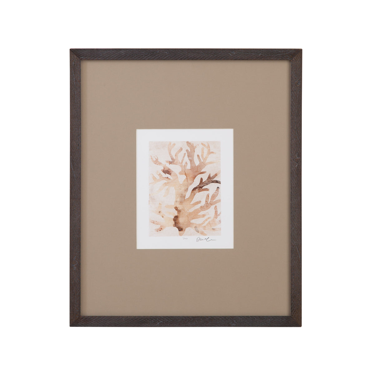 Parchment Coral III Framed Print - Brown