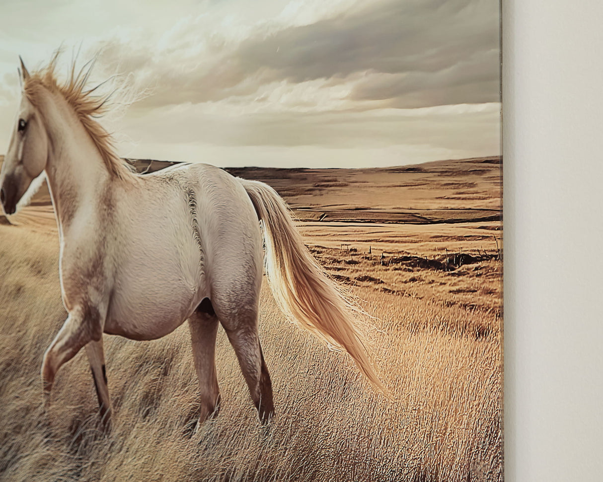 Errolville - Wall Art - Multi