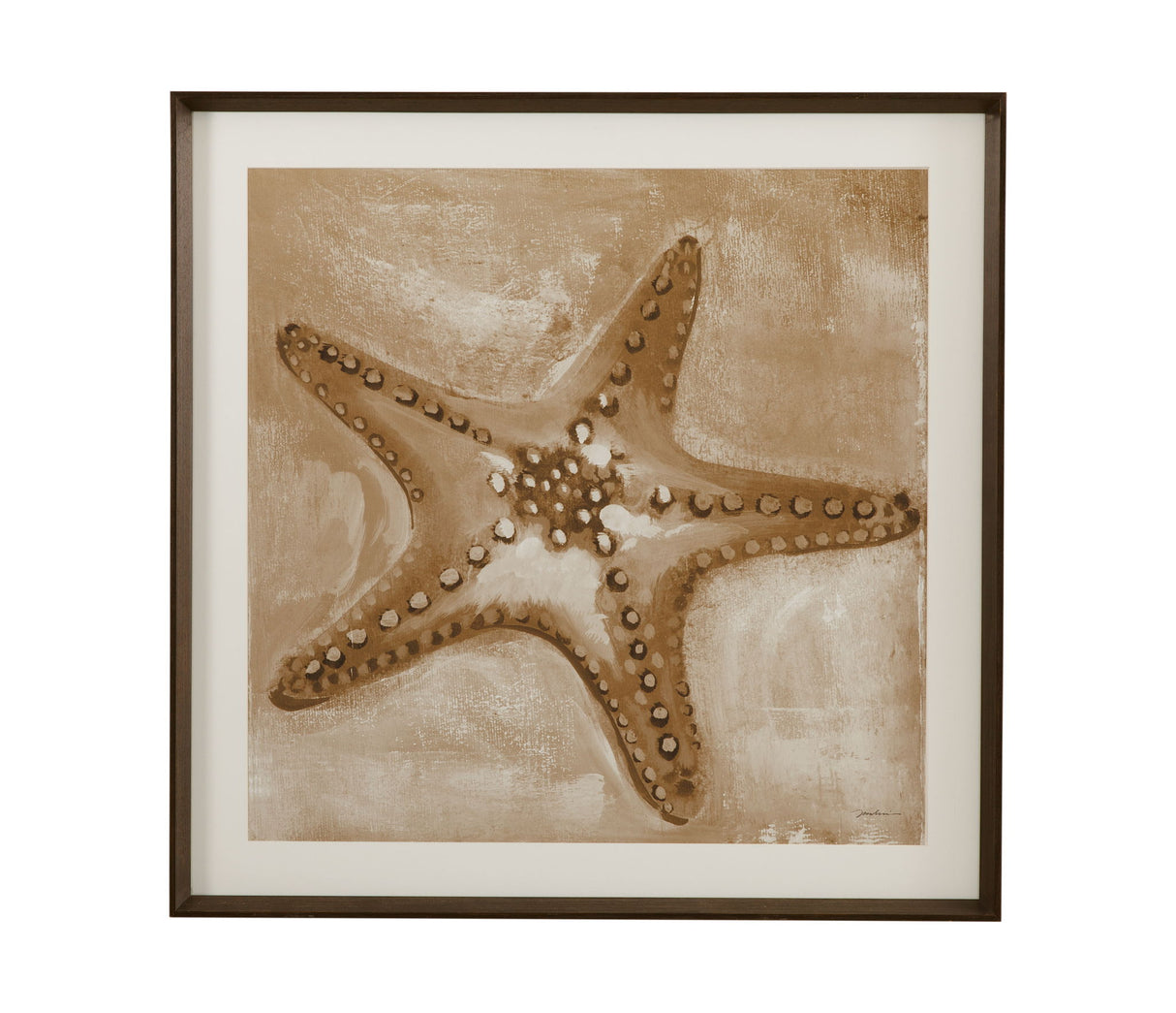 Neutral Starfish Framed Print - Light Brown