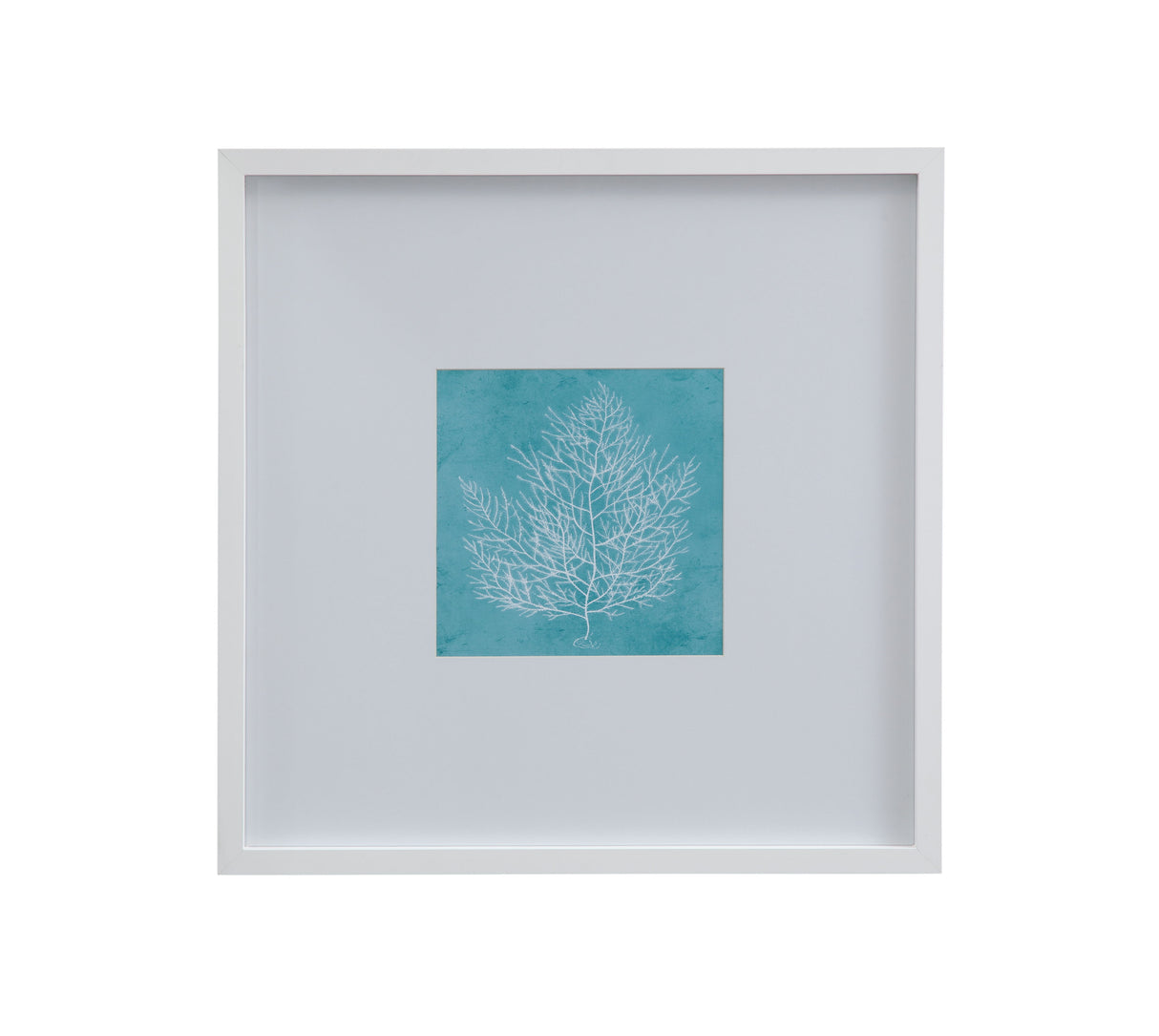 White Coral On Blue I Framed Print - Blue / White