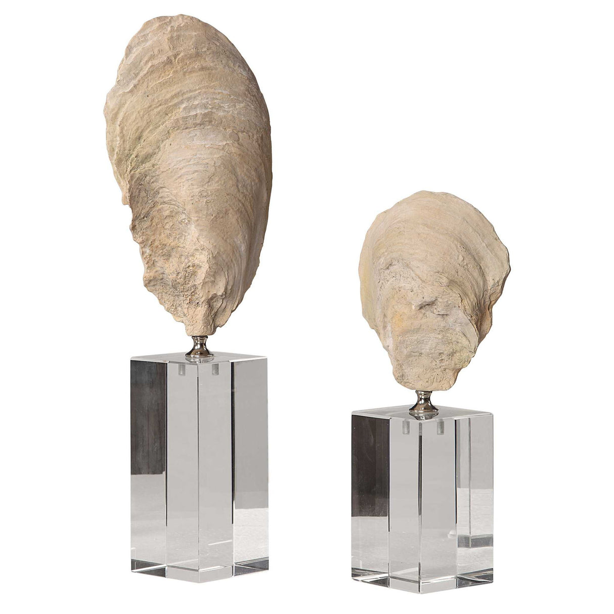Oyster - Shell Sculptures, Set Of 2 - Beige