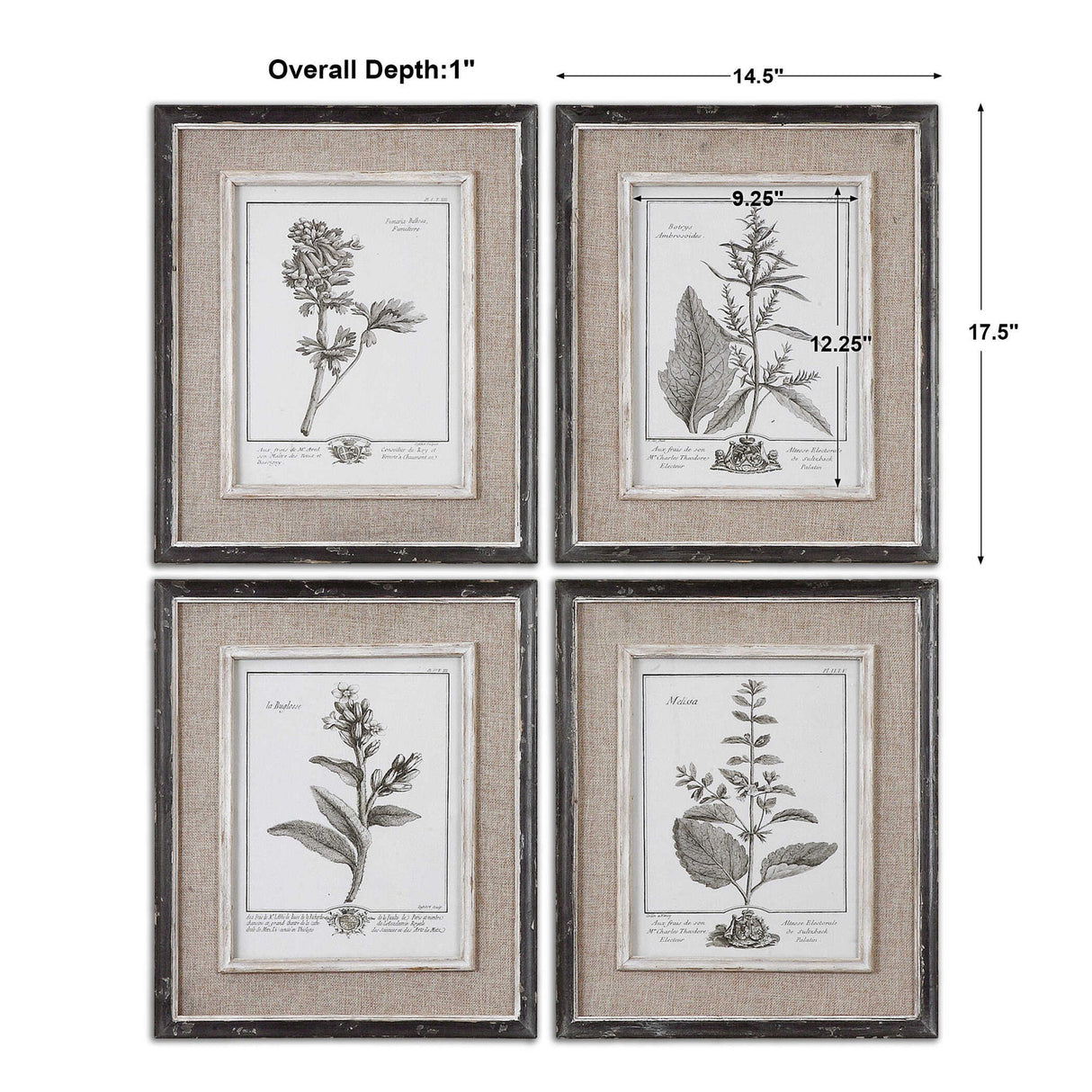 Casual Grey Study - Framed Art Set Of 4 - Beige