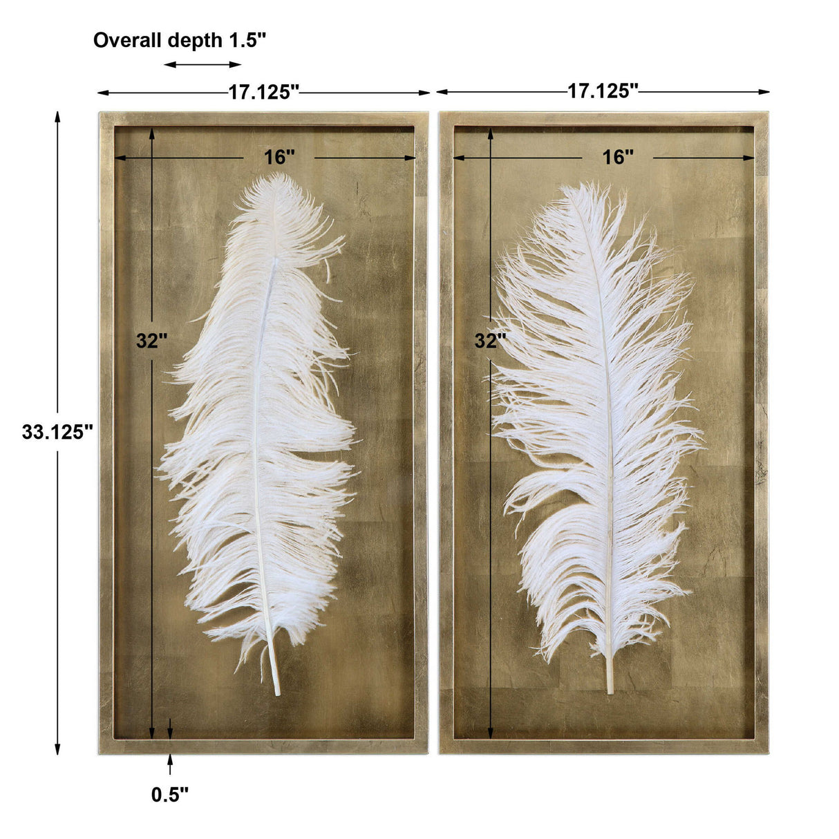 White Feathers - Shadow Box, Set Of 2 - Gold