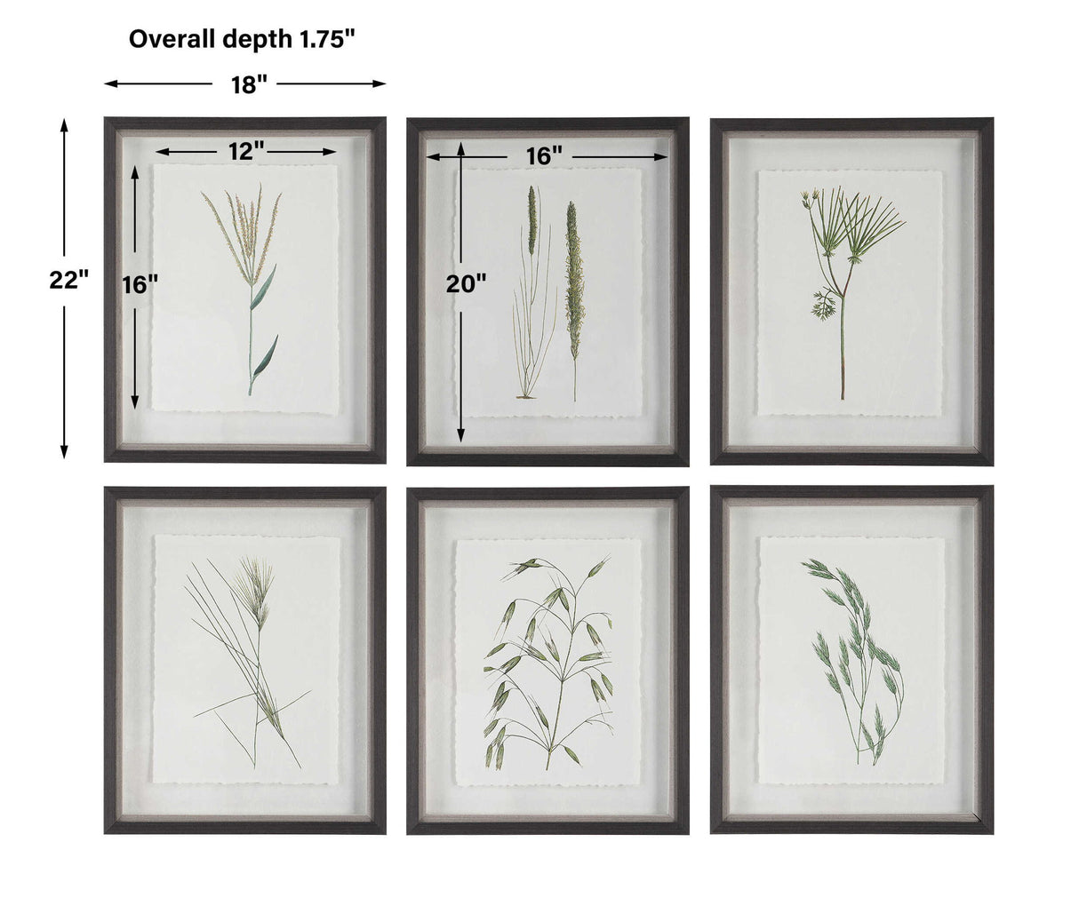 Forest - Finds Framed Prints (Set of 6)