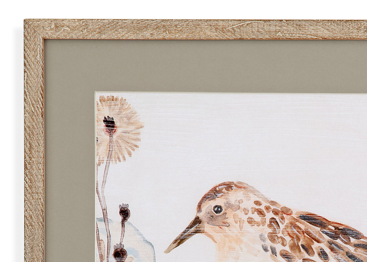 Shell Peppers IV Framed Print - White