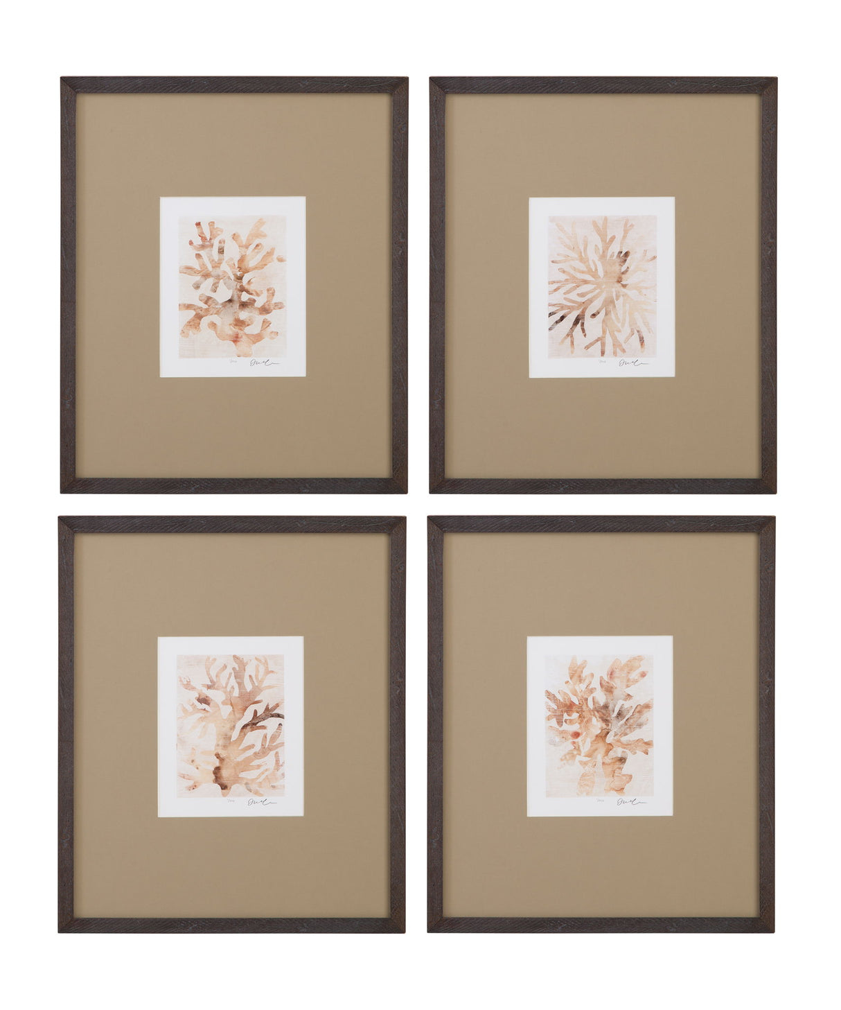 Parchment Coral Framed Print (Set of 4) - Brown