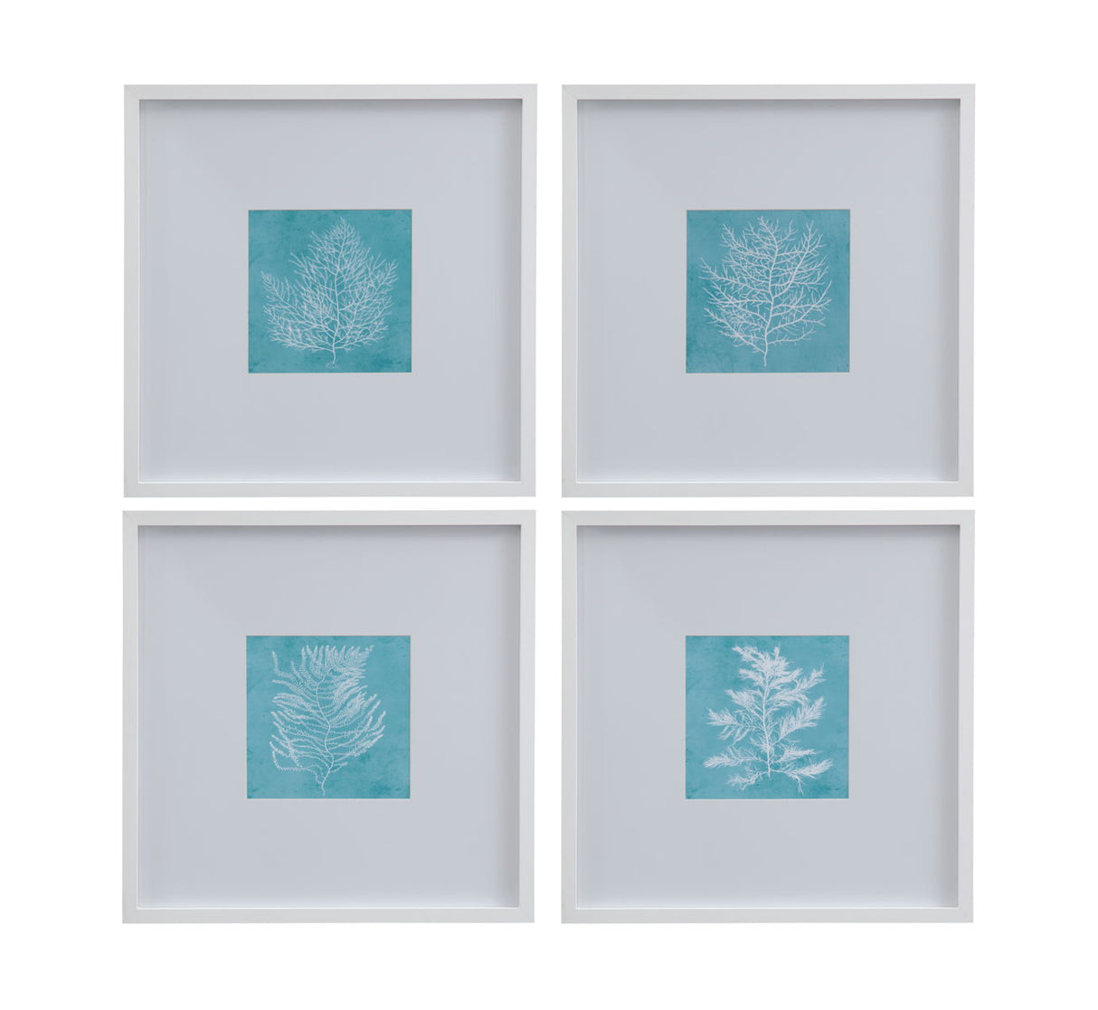 White Coral On Blue II Framed Print - Blue / White