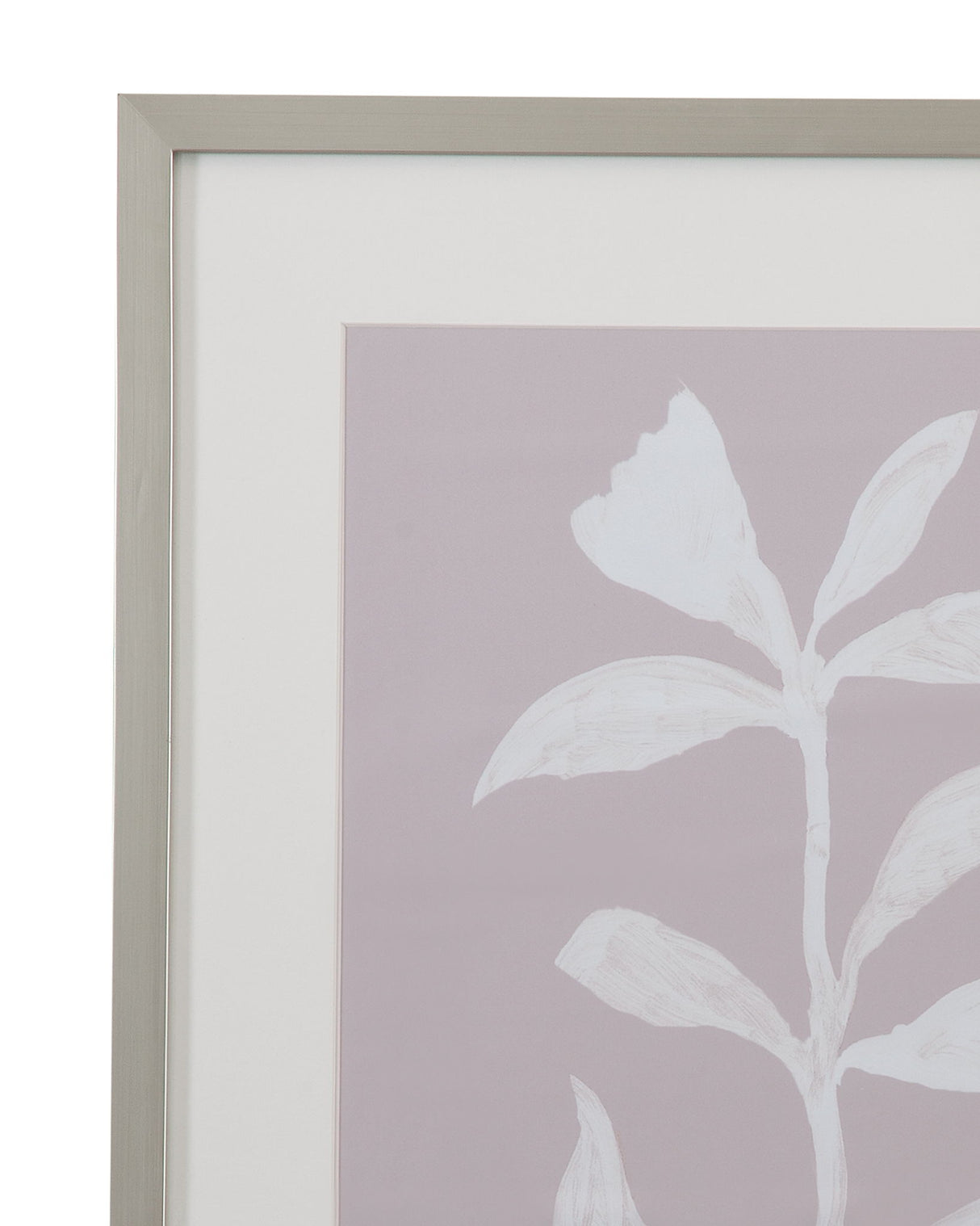 Fresh Leaves II Framed Print - Gray
