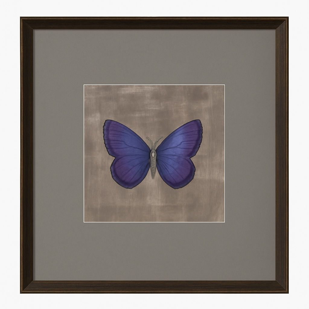 Papilio Luxe Caeruleum Framed Print - Periwinkle / Beige