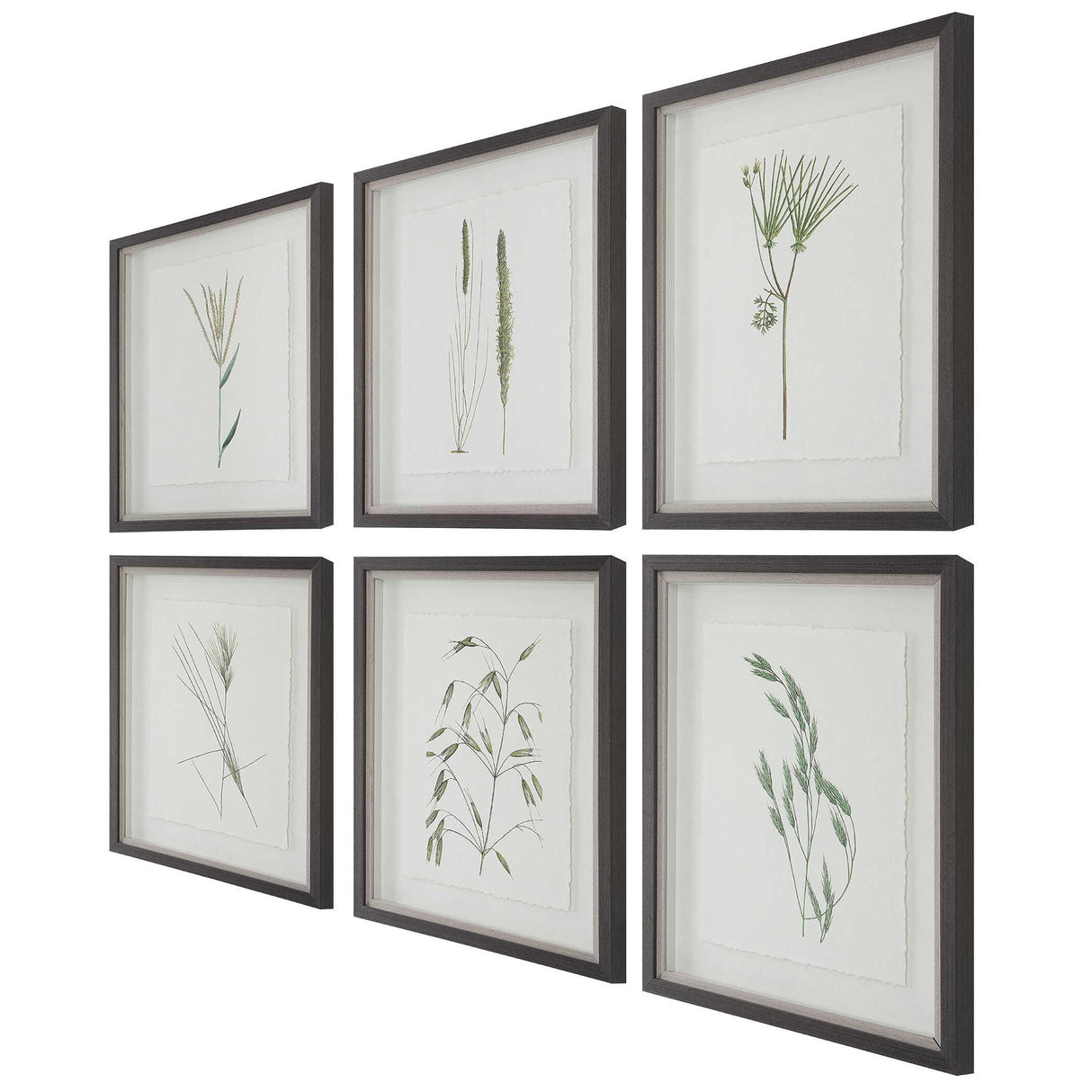 Forest - Finds Framed Prints (Set of 6)