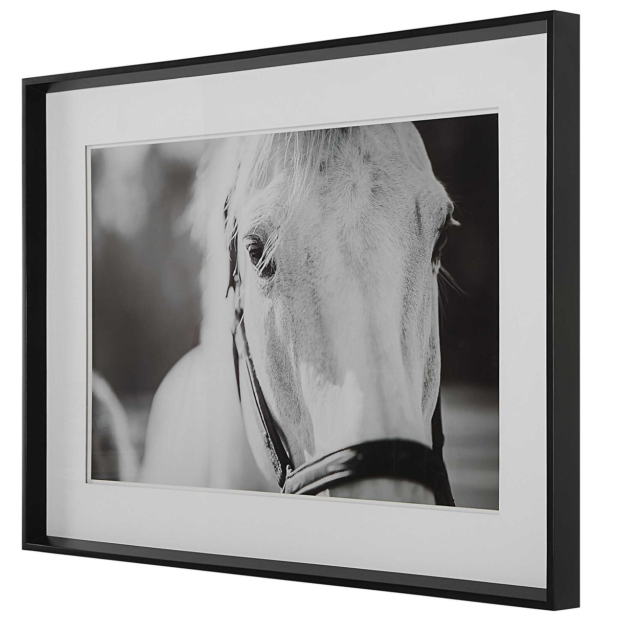 Eyes On The Prize - Framed Print - White
