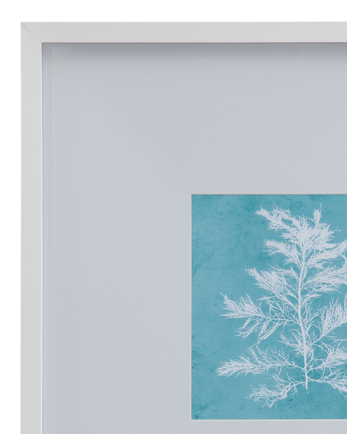 White Coral On Blue IV Framed Print - Blue / White