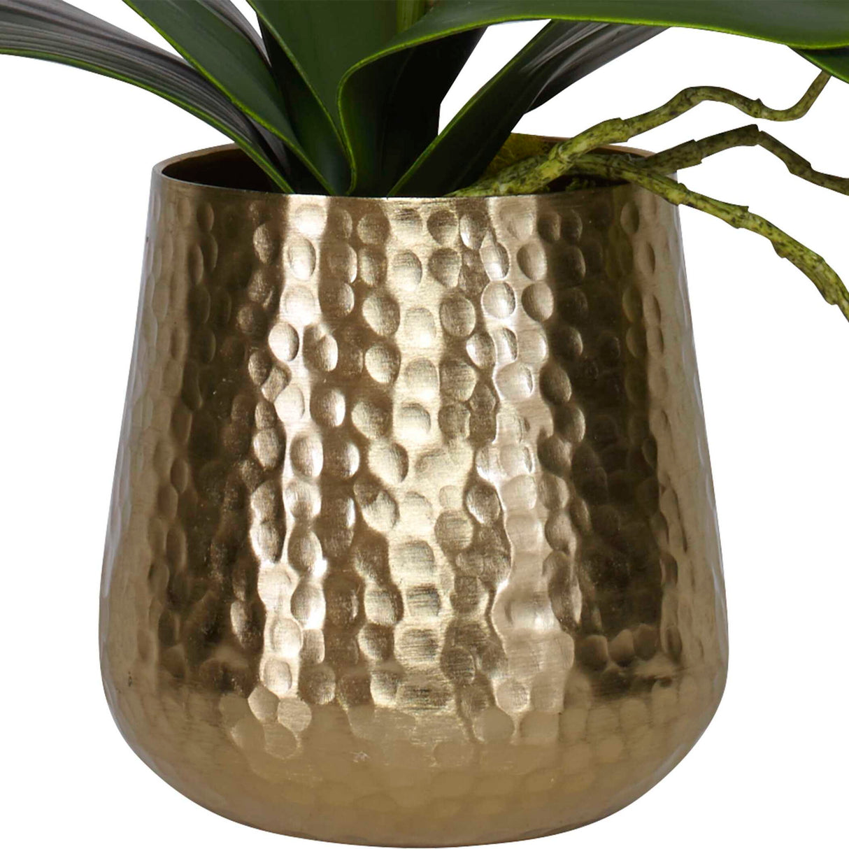 Cami Orchid - Orchid With Brass Pot - White