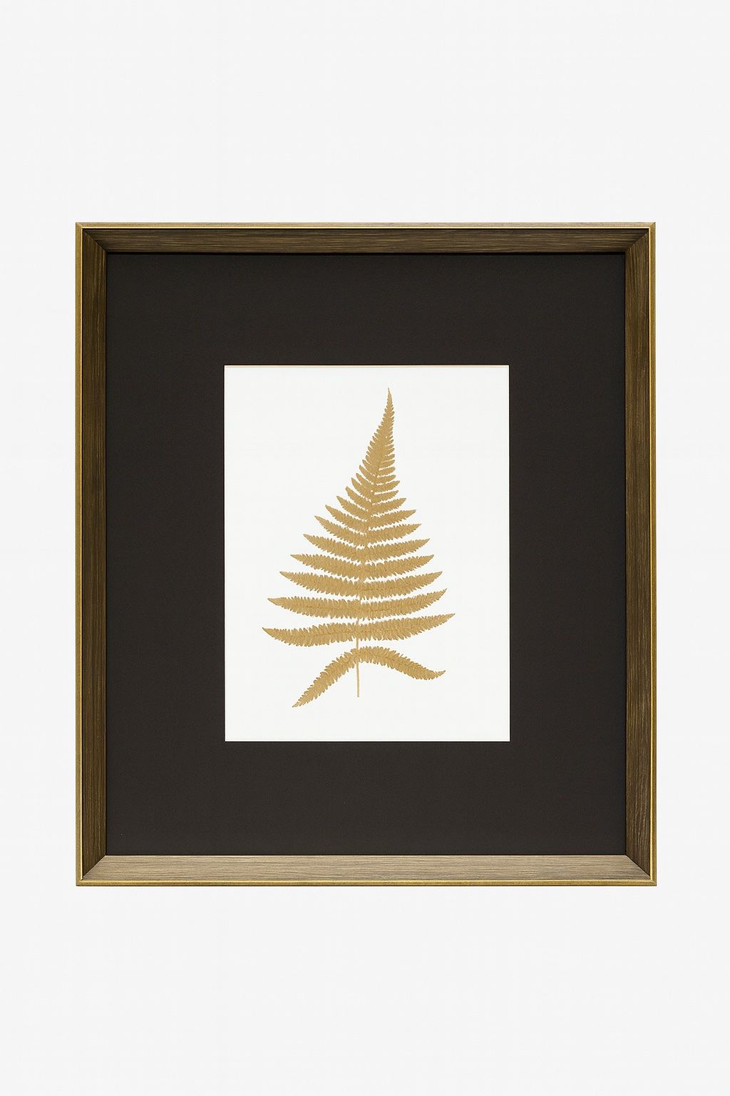 Antique Fern II Framed Print - Gold / White / Brown