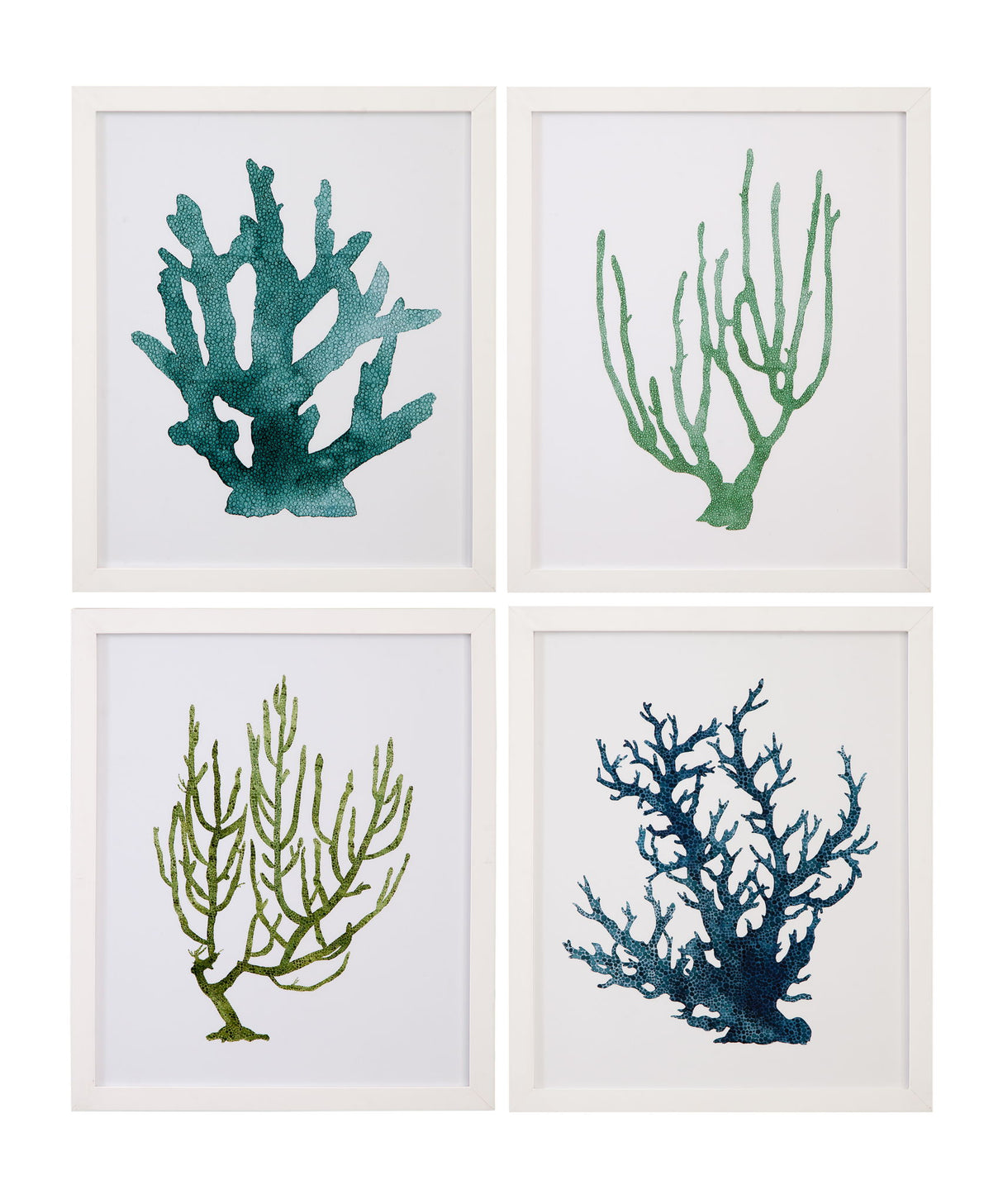 Coral Souvenirs II Framed Print - Green