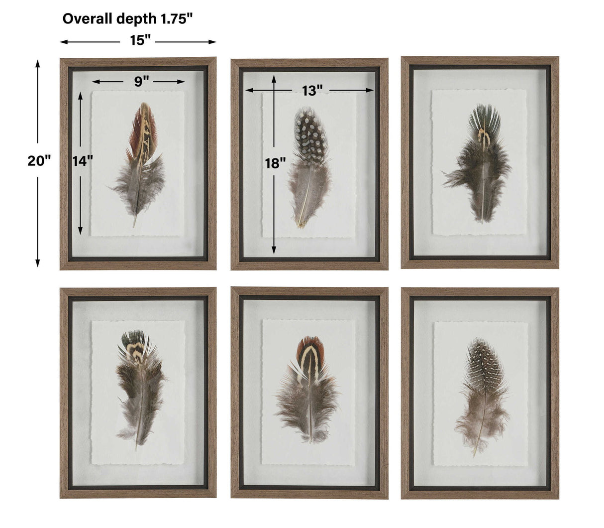 Birds Of A Feather - Framed Prints (Set of 6)