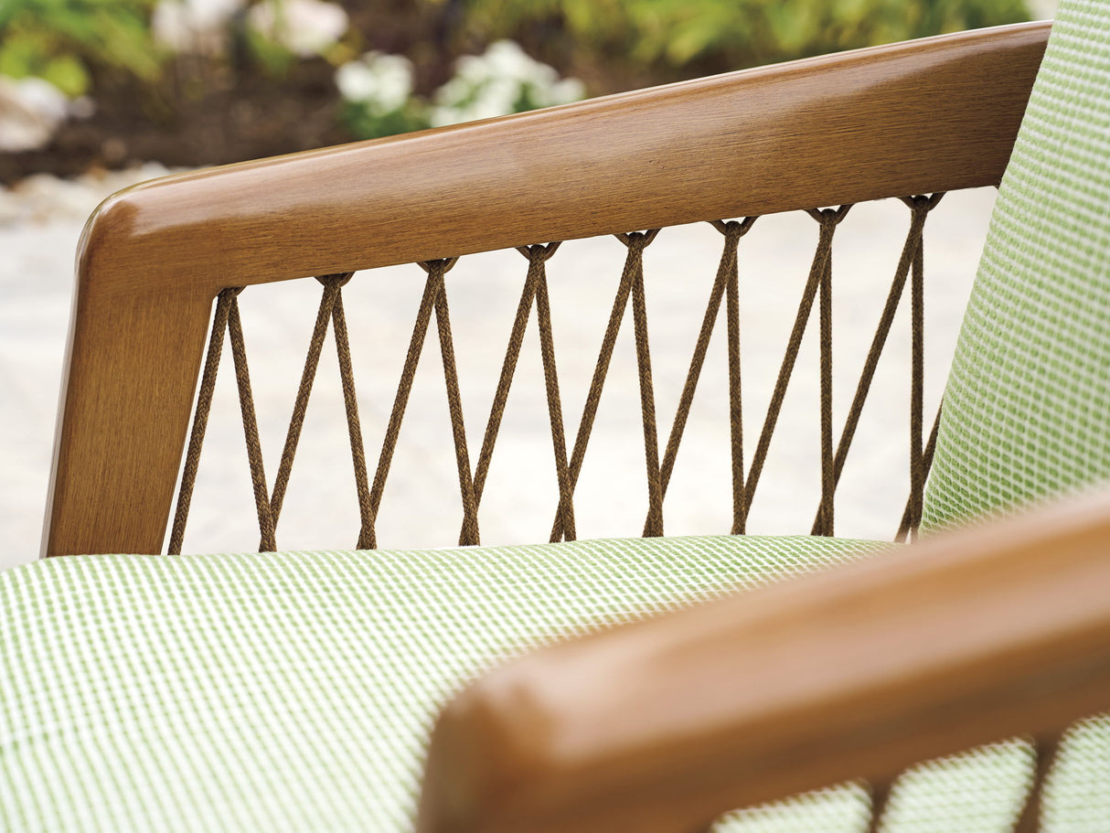 Palm Desert Poolside - Occasional Chair - Dark Brown / Green