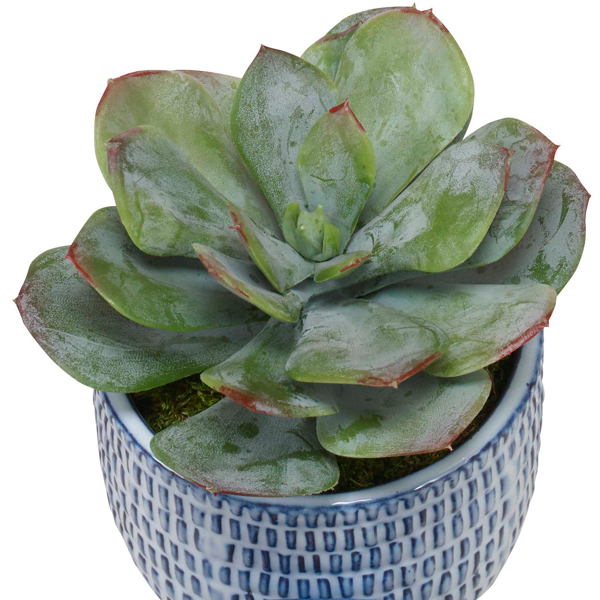 Puebla - Greenery In Blue & White Pots, Set Of 3 - Green