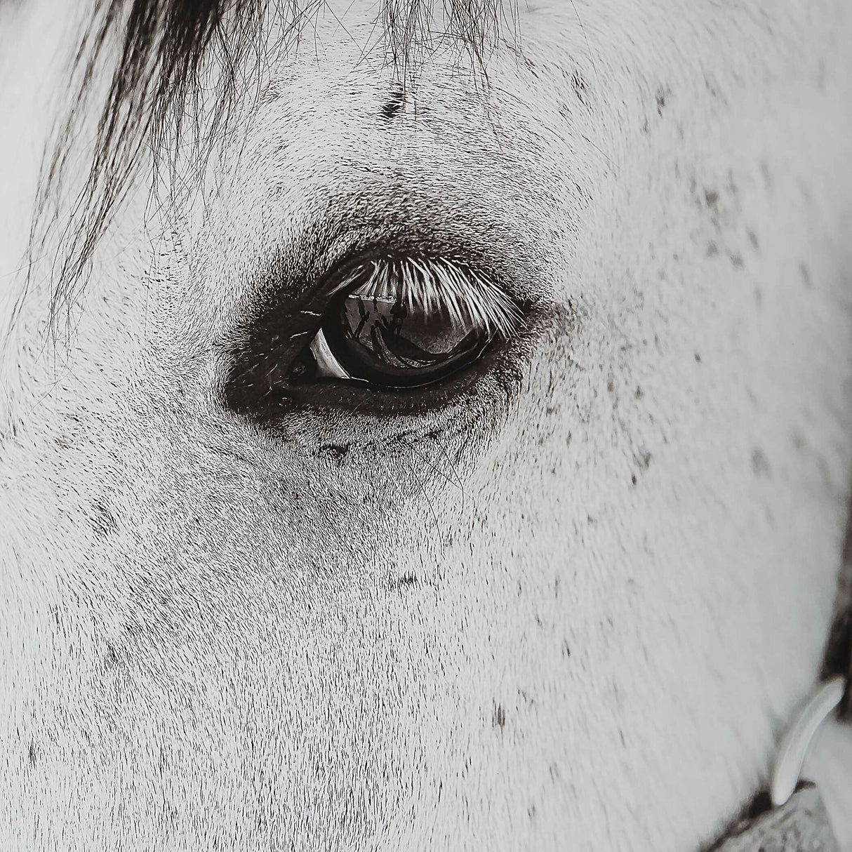 Eye Of The Beholder - Framed Print - White