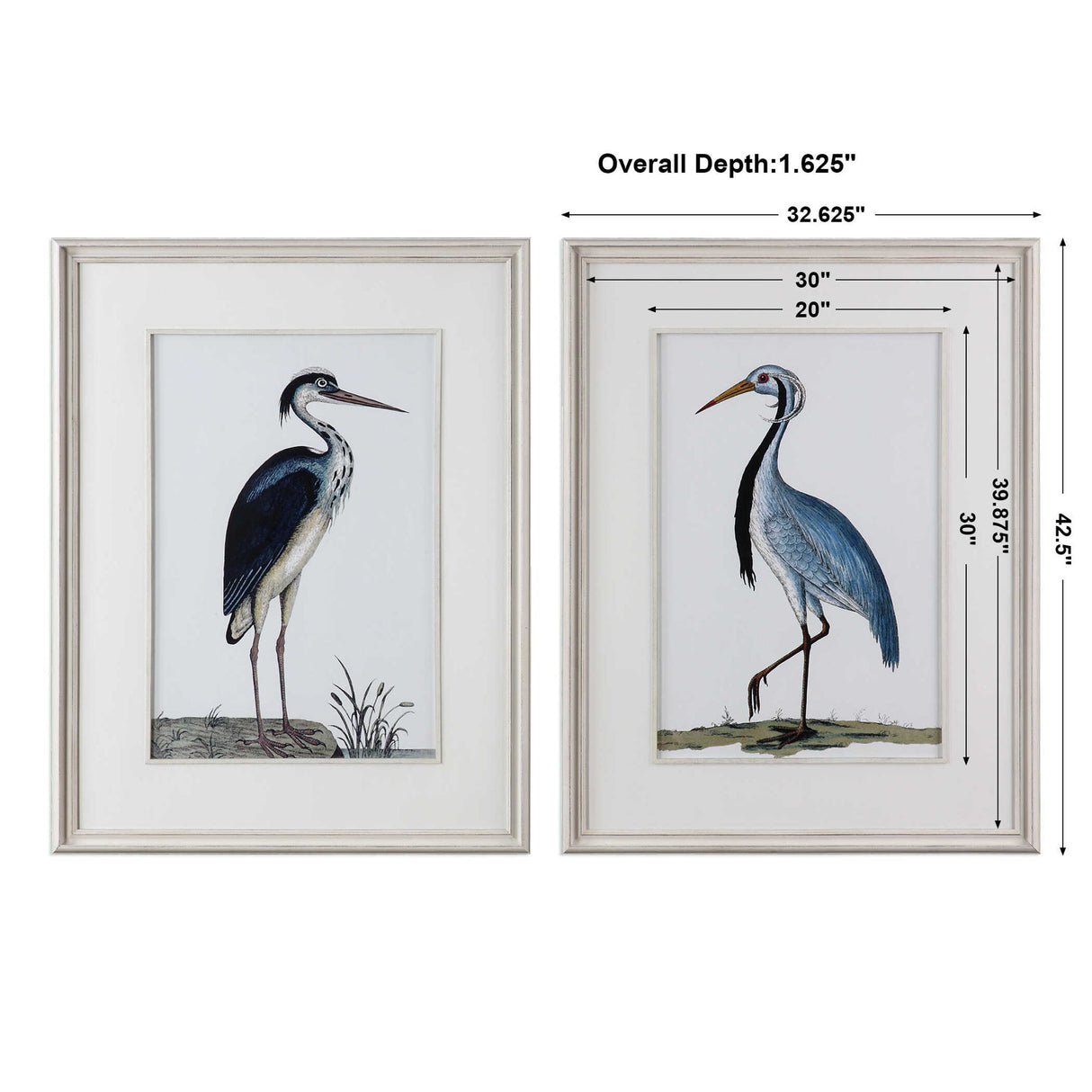 Shore Birds - Framed Prints, Set Of 2 - Black