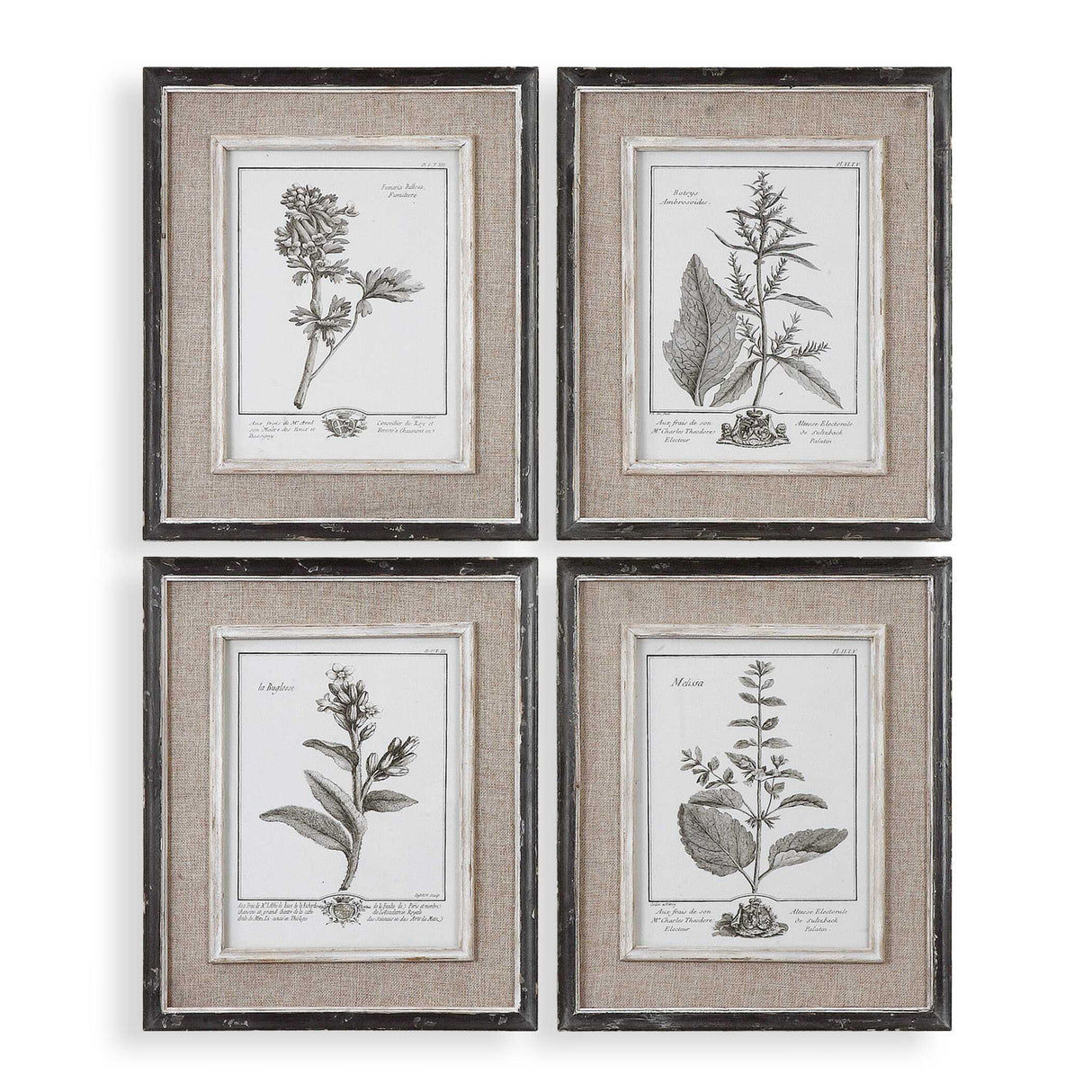 Casual Grey Study - Framed Art Set Of 4 - Beige