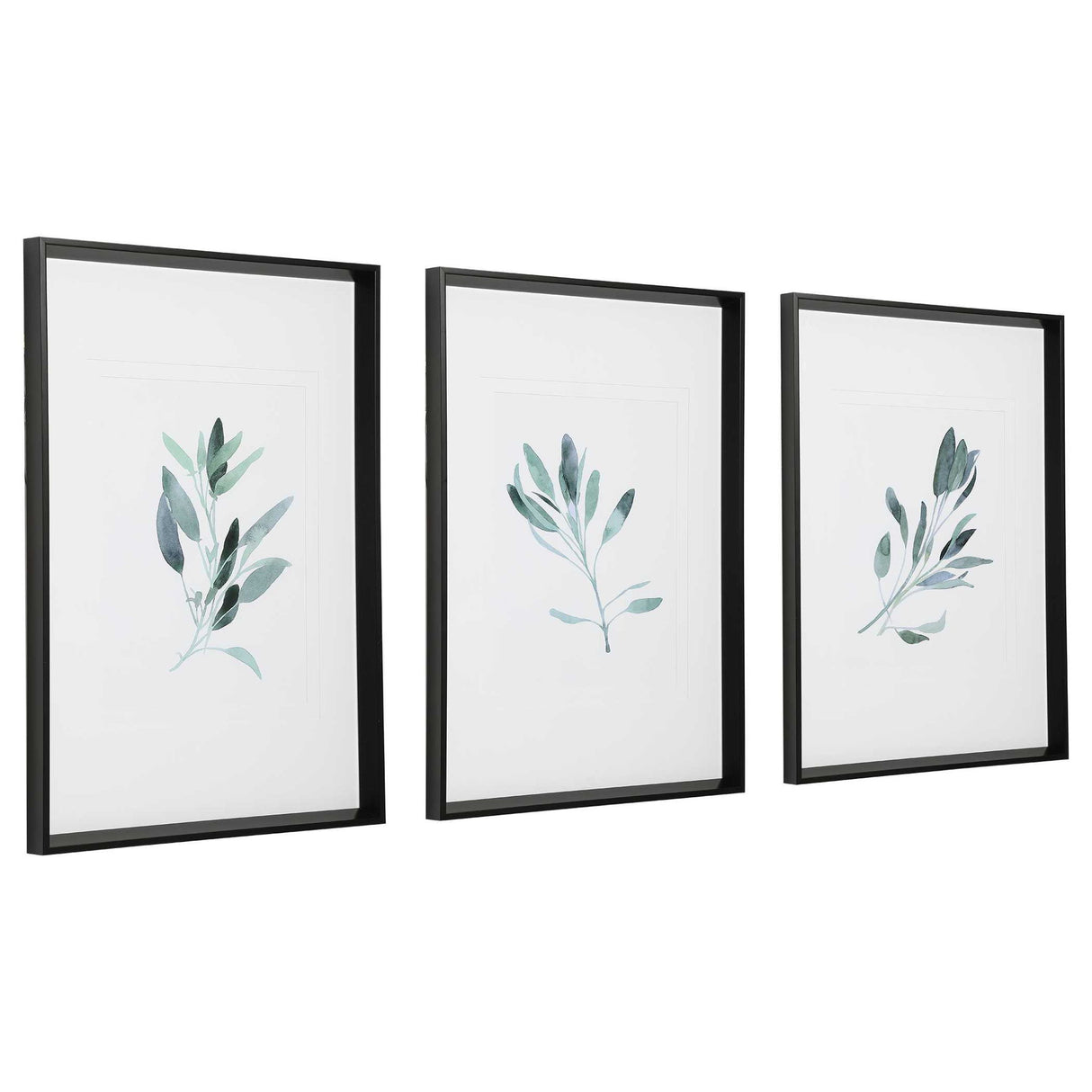 Simple Sage - Watercolor Prints, Set Of 3 - White