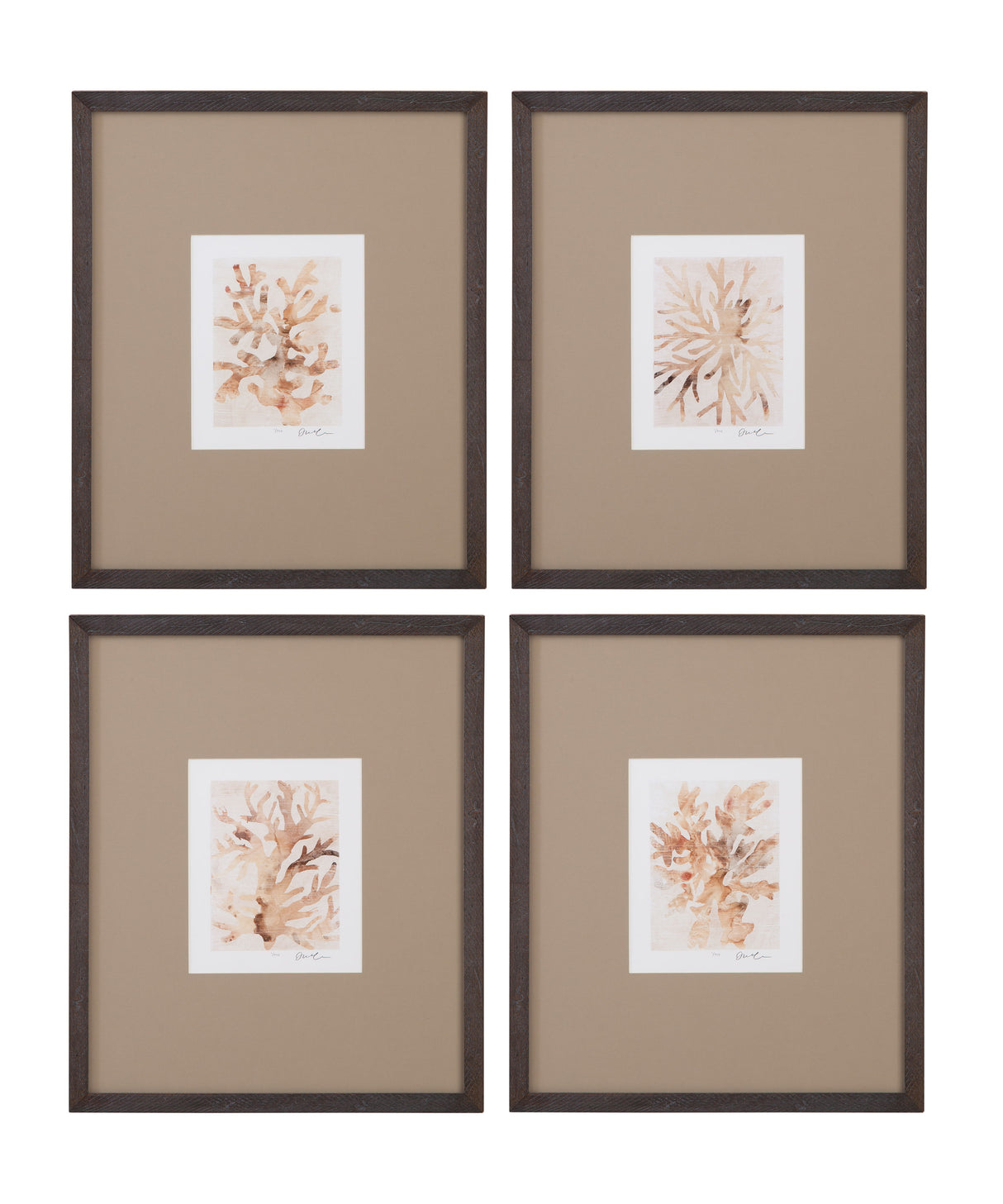 Parchment Coral Framed Print (Set of 4) - Brown