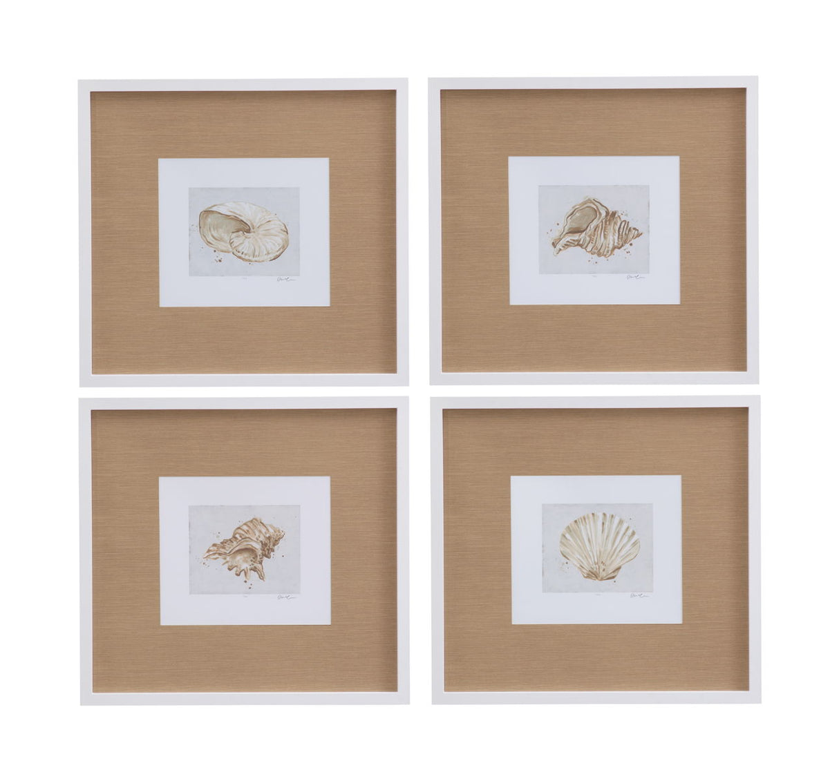 Neutral Shell Fresco IV Framed Print - Light Brown / White