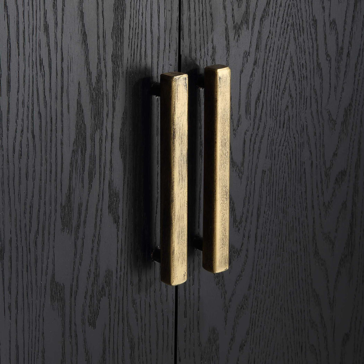 Front Range - Dark Oak 2 Door Cabinet