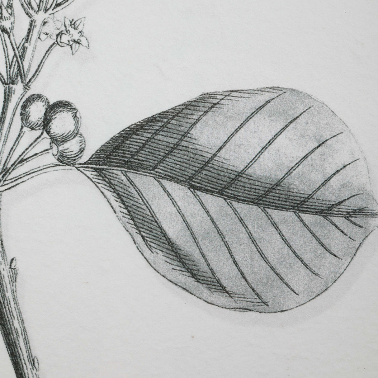 Farmhouse Florals - Framed Prints, Set Of 9 - Black