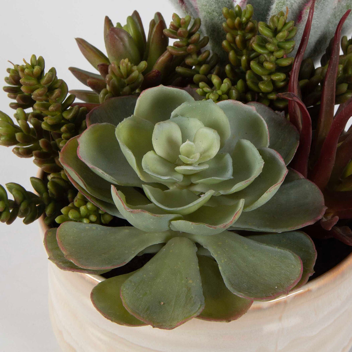 Mesa Succulent Accent - Pearl Silver