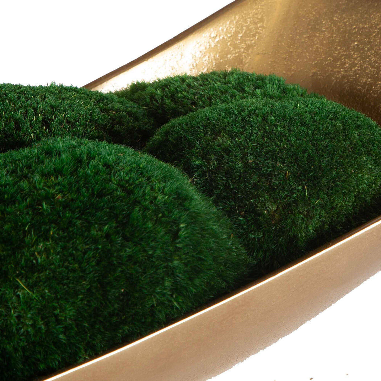 Venice - Moss Centerpiece - Gold