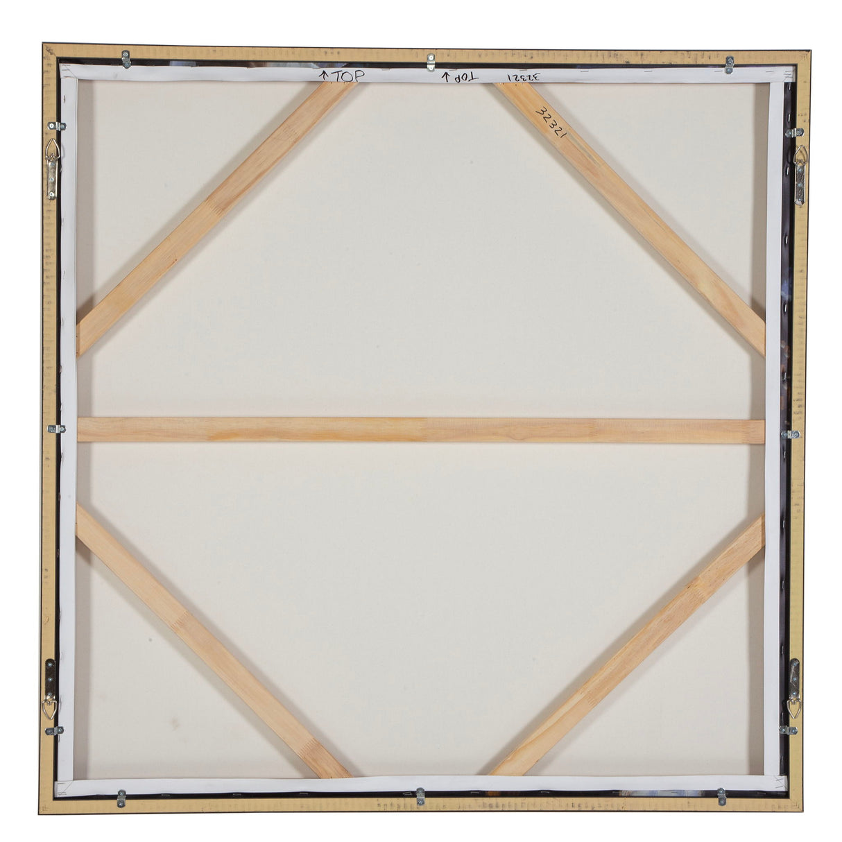 Natural Wonder - Framed Floral Art - Blue