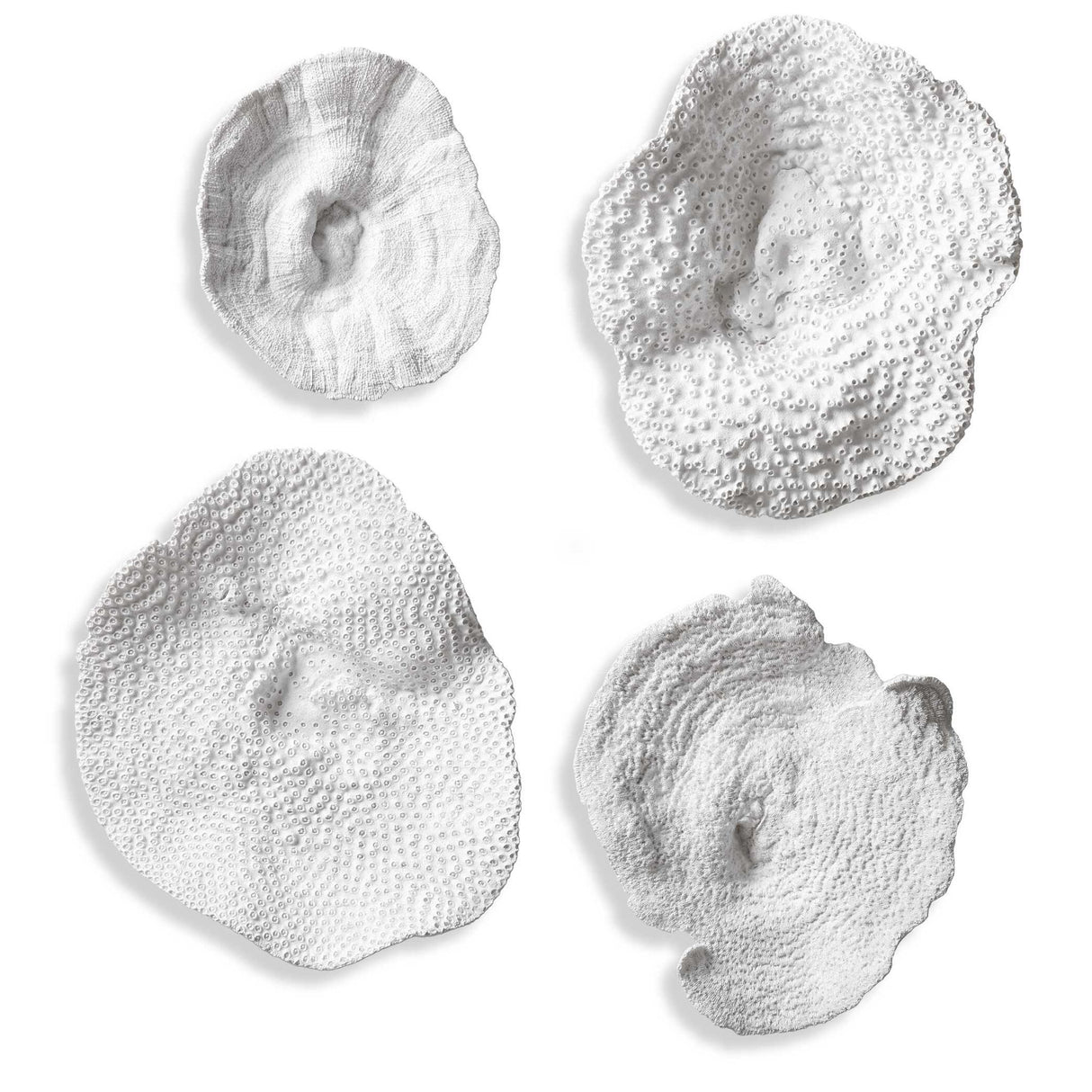 Sea Coral - Wall Art, Set Of 4 - White