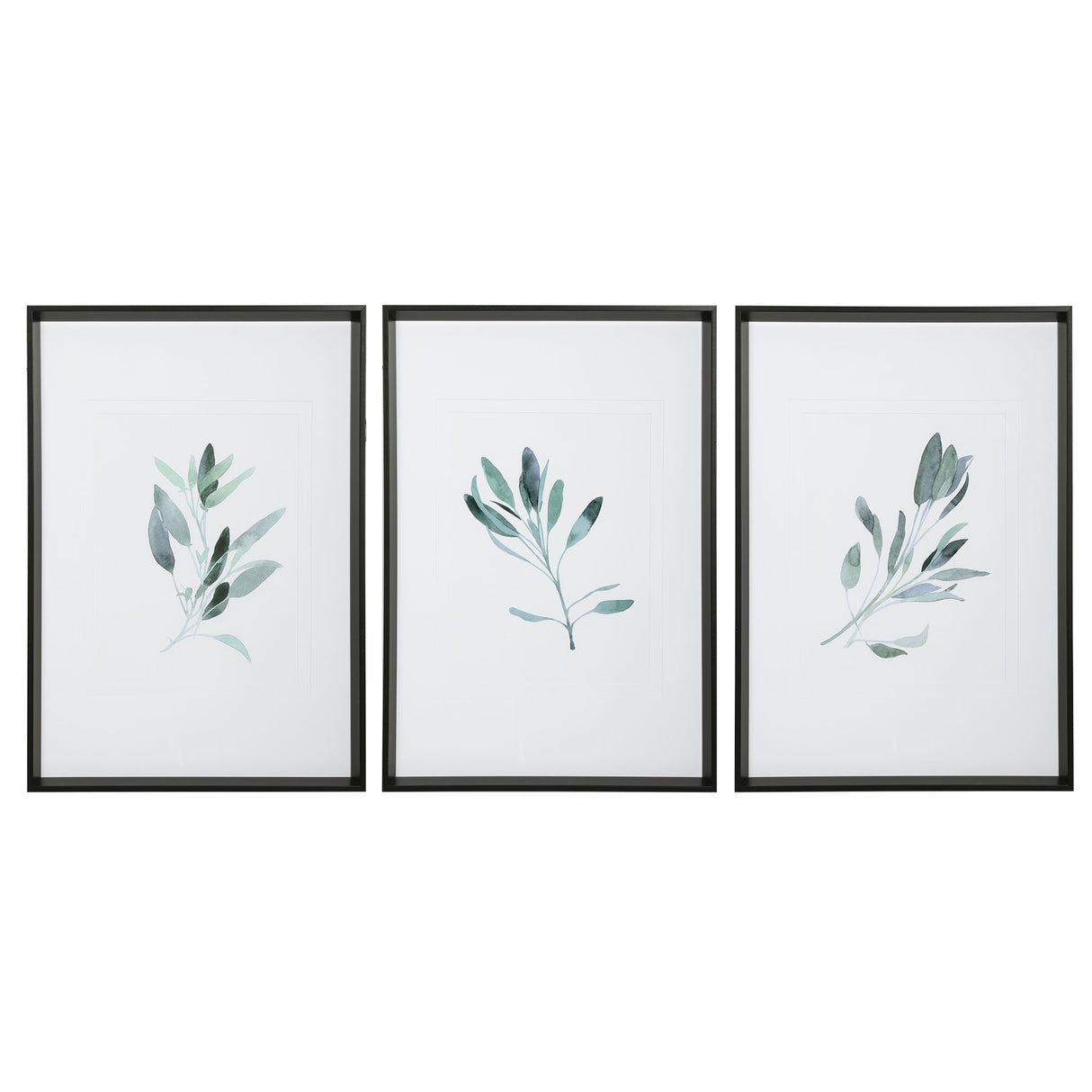 Simple Sage - Watercolor Prints, Set Of 3 - White