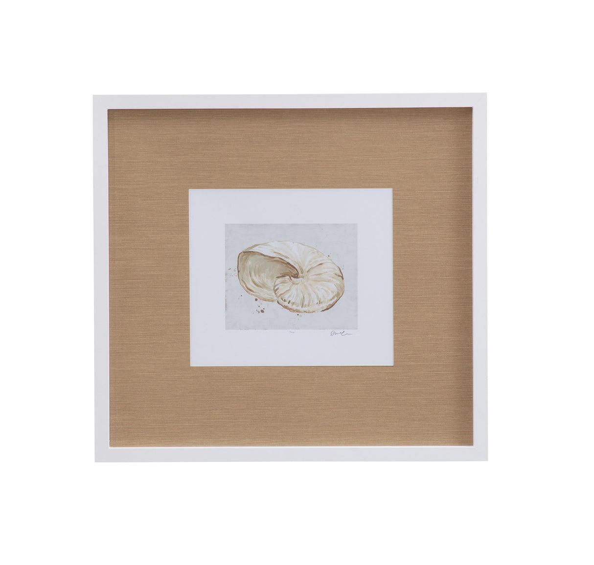 Neutral Shell Fresco I Framed Print - Light Brown / White
