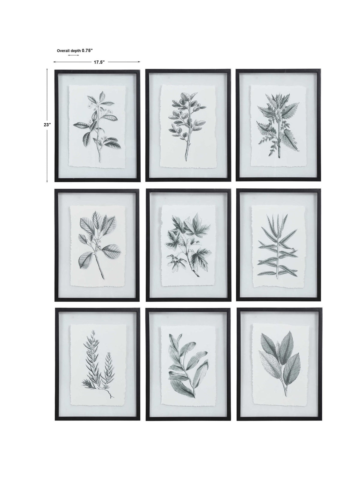 Farmhouse Florals - Framed Prints, Set Of 9 - Black