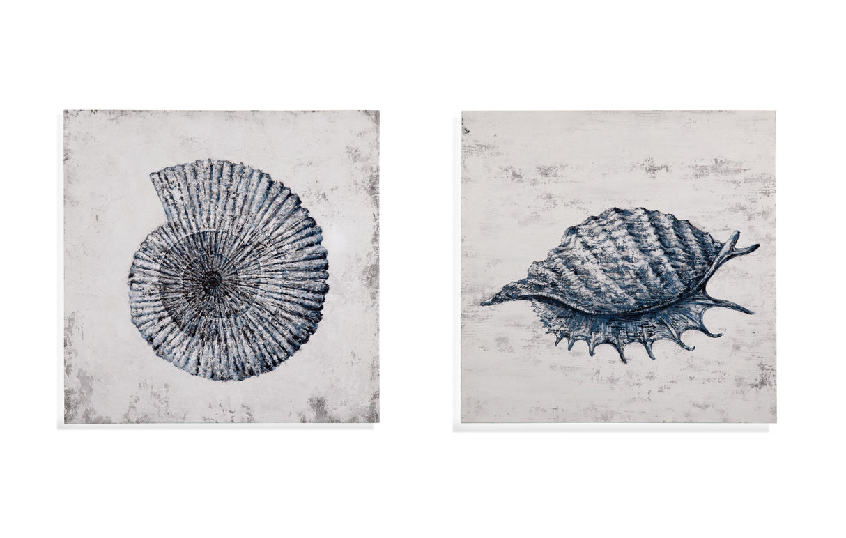 Shell I Canvas Art - Blue / Gray