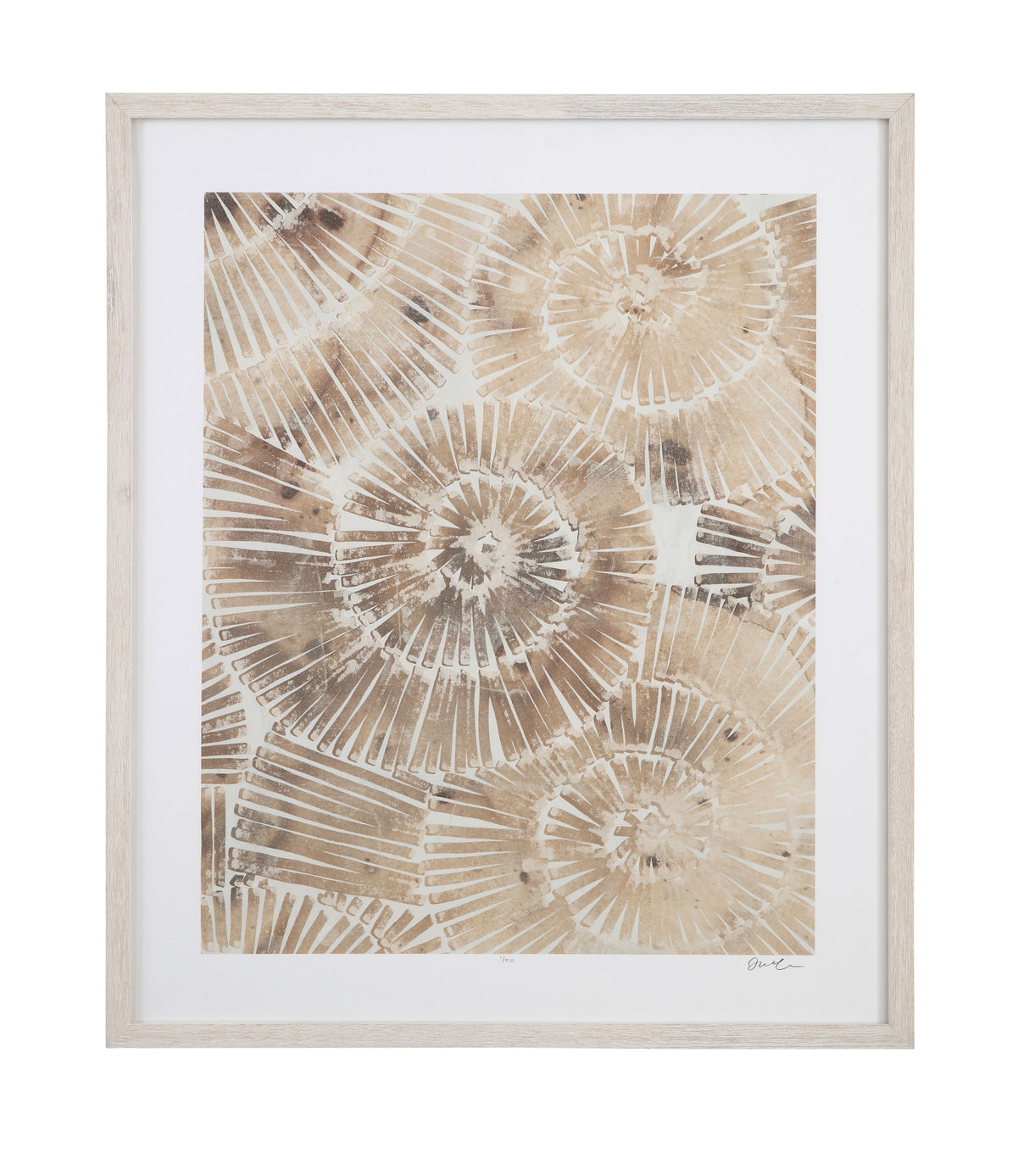 Fossil Nautilus II Framed Print - Brown