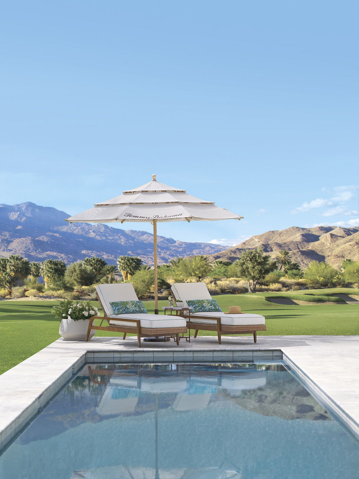 Palm Desert Poolside - Chaise - Dark Brown / White