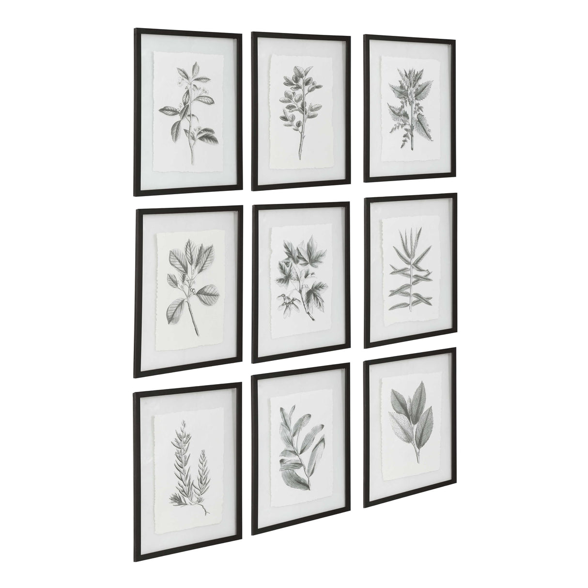 Farmhouse Florals - Framed Prints, Set Of 9 - Black