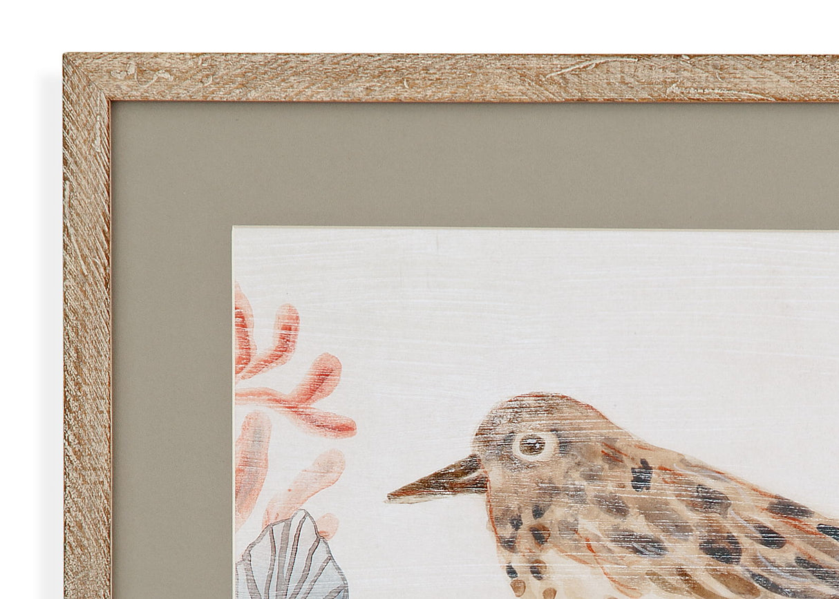 Shell Peppers II Framed Print - White