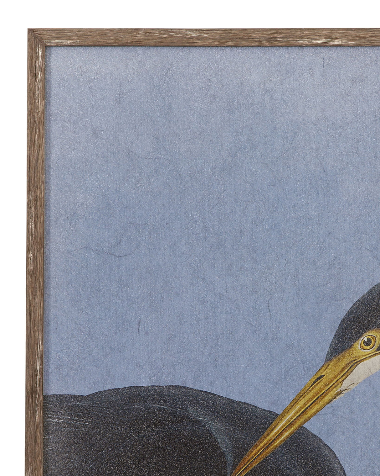 Bayou Heron I Framed Print - Blue / Black