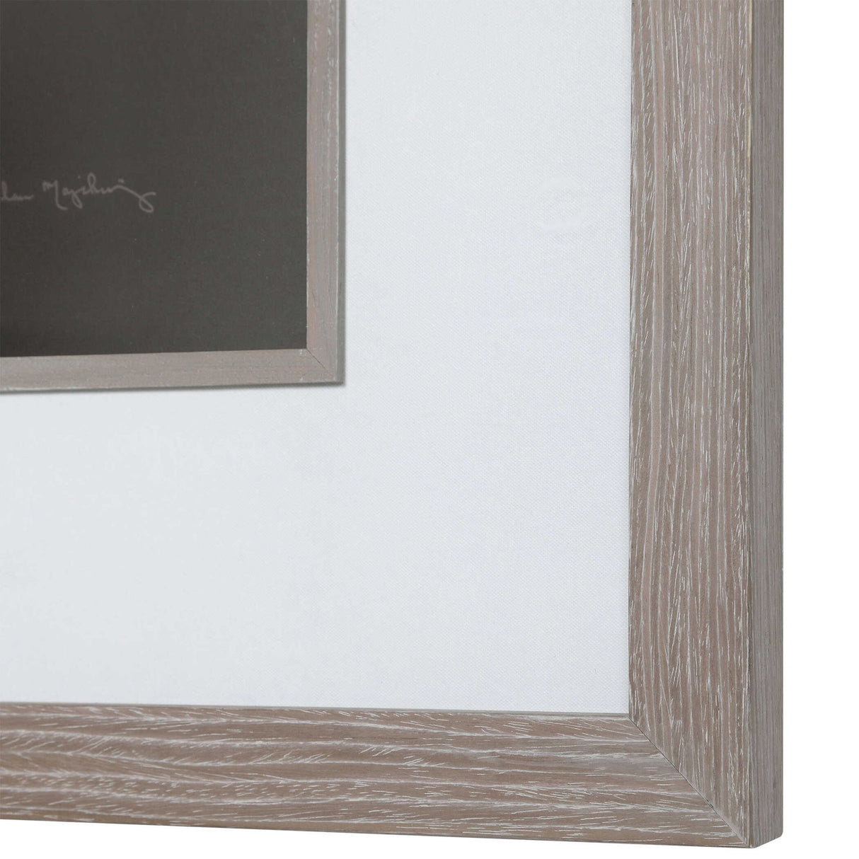 Dandelion Seedhead - Framed Print - Black