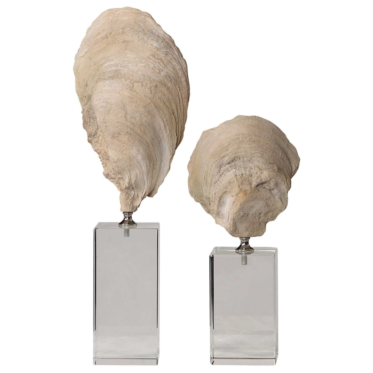 Oyster - Shell Sculptures, Set Of 2 - Beige