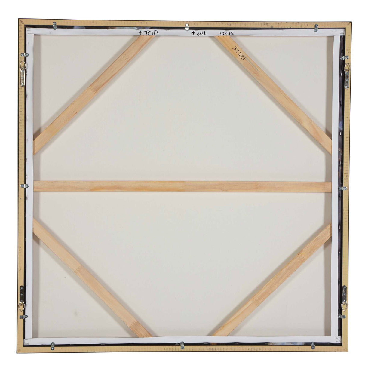 Natural Wonder - Framed Floral Art - Blue