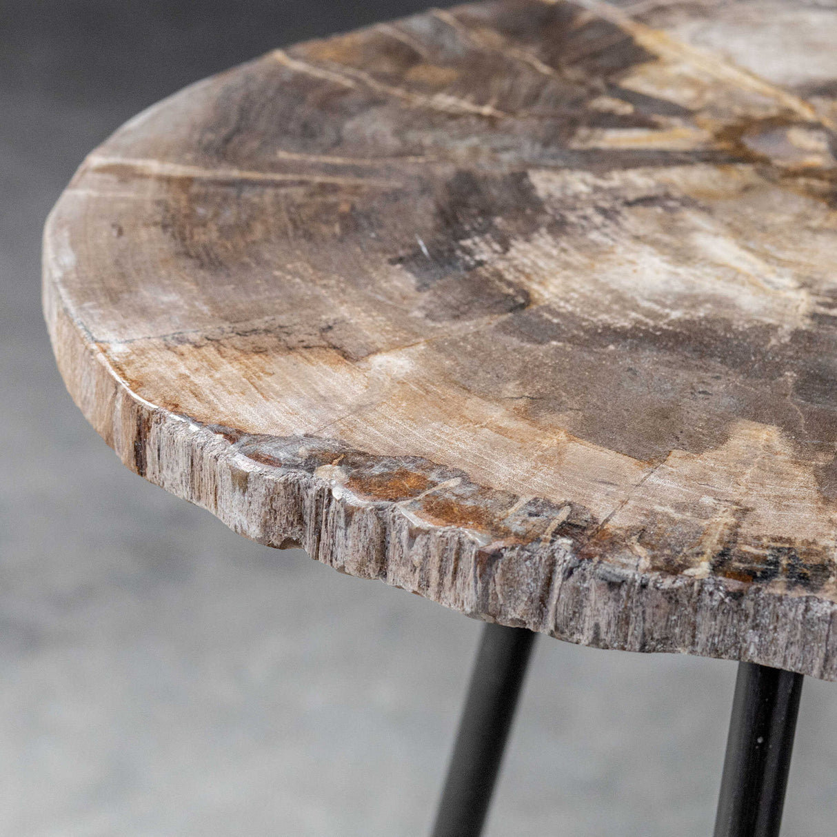 Mircea - Petrified Wood Accent Table - Black & Light Brown