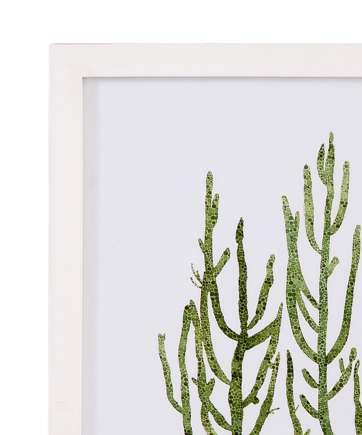 Coral Souvenirs III Framed Print - Green